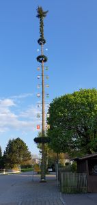 Maibaum Koppenbach