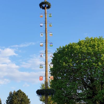Maibaum Koppenbach