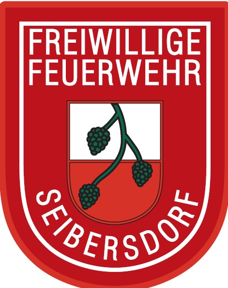 Watt-Turnier 2026 FF Seibersdorf
