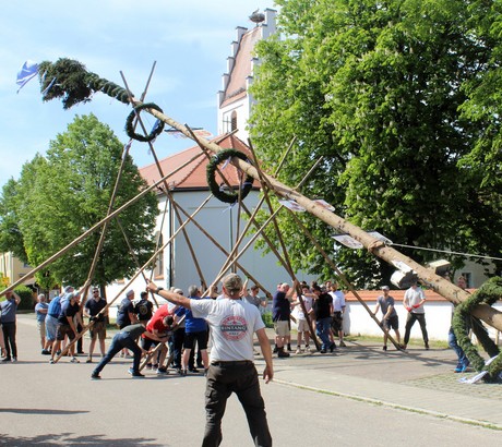 Maibaumaufstellen in Hohenwart und in den Ortsteile