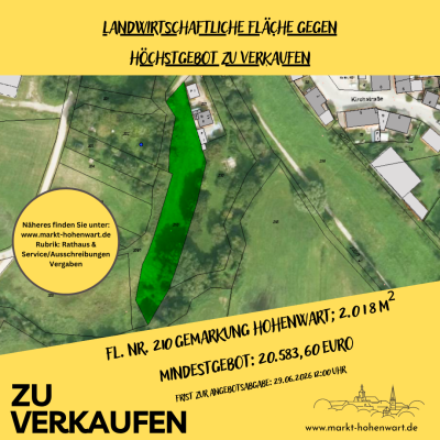 20260528 Fl.Nr. 210 Gemarkung Freinhausen(2)